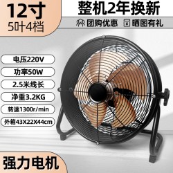 风轻杨 工业电风扇移动强力趴地扇车间大功率扇直流爬地扇大风力家用大型