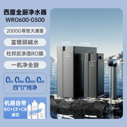 西屋电气 西屋制冷加热净饮机家用全屋厨下净水器直饮过滤器RO反渗透G500