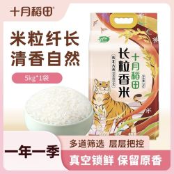 十月稻田 长粒香米5kg*1袋/2袋米粒修长家庭蒸煮食堂