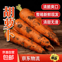 京喜 2026新鲜现挖胡萝卜沙地胡萝卜榨汁凉拌沙拉蔬菜生鲜超市买菜早餐  新鲜带泥胡萝卜