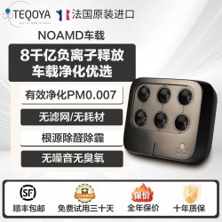 得康氧 法国进口TEQOYA得康氧负离子发生器氧吧负氧离子空气净化器无耗材