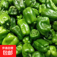 京喜 现摘新鲜绿菜椒圆椒青椒‘灯笼椒 4斤