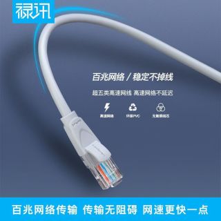 禄讯 纯铜超五类非屏蔽成品网线cat5e网络跳线电脑路由器RJ45接口 铜包铝 超五类非屏蔽成品网线 2米