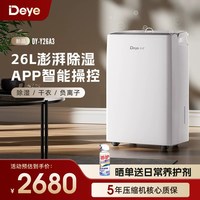 Deye 室内家用轻音除湿机干衣干燥机抽湿器DYD-Y26A3