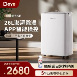 Deye 室内家用轻音除湿机干衣干燥机抽湿器DYD-Y26A3