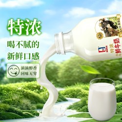 南国乳业 鲜奶4.2g低温鲜牛奶205ml 儿童学生 早餐水牛奶