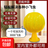 京喜自营-专用品牌 诱蝇神器果蝇诱捕球配合灭蚊灯粘蝇小飞虫灭杀神器室内去除蚊虫蚊子克星厨房蠓虫粘虫球诱苍蝇诱捕器