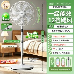 海尔 直流省电电风扇落地扇2026新款纯铜家用空气循环扇一级节能