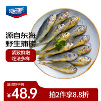 海名威 冷冻东海小黄鱼1.5kg/袋（内含3小包) 生鲜鱼类 海鲜水产