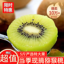 疆域采虹现摘绿心猕猴桃湖南新鲜水果奇异果生鲜整箱 严选5斤特大果净重约为4斤+