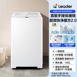 Leader 海尔出品统帅12kg波轮洗衣机直驱手搓洗家用全自动防缠绕