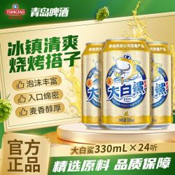 青岛啤酒 大白鲨系列 啤酒