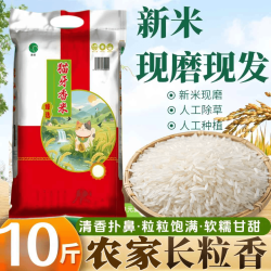 粮心妹 现磨农家猫牙香米10斤