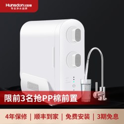 汉斯顿 净水器家用直饮0阻垢剂0陈水厨房自来水过滤反渗透净水机D3