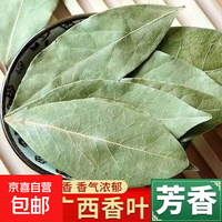 京喜 广西云幕山正宗香叶头茬袋装新货调味品月桂调料香料卤料家用炒菜 香叶 50g*1袋