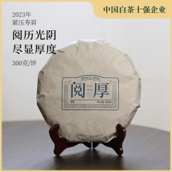 政名 政和政名白茶2023年老茶高山老树茶叶寿眉茶饼300g