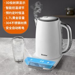 Wiltal 德国恒温电热水壶烧水壶自动断电家用煮开水保温一体泡茶专用小型
