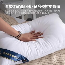 俞兆林 枕头枕芯一对装助眠护颈椎五星级酒店羽丝绒宿舍午睡家用枕头
