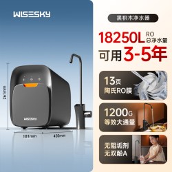 韦思卡尔 黑积木ro反渗透净水器0阻垢剂净水机净饮机家用直饮M2