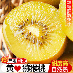 静益乐源 黄心猕猴桃 20枚大果单果90-110g