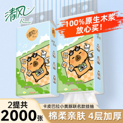 清风 卡皮巴拉挂抽1000张/提悬挂式抽纸家用餐巾纸卫生面巾纸壁挂厕纸 2大提2000张