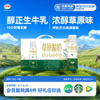 伊利 草原酸奶 巴氏杀菌原味 230g*10瓶