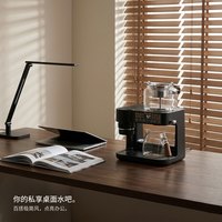 韦奇伍德 喷淋式萃茶机黑茶专用煮茶炉桌面保温泡茶器正品咖啡机家用小型
