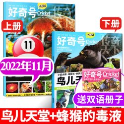 好奇号杂志过刊清仓2026/2025/2024年山西古建筑/西安/重庆/广州/北京