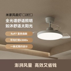 米家 风扇灯42英寸 家用客厅吊扇隐形卧室42英寸全光谱Ra97灯具