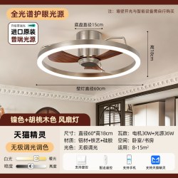 绿源 国补15%|绿源包豪斯中古风吸顶电风扇灯卧室静音复古工业风吊扇18