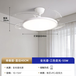 PARSA 风扇灯 现代简约全光谱护眼隐形风扇灯大风力客厅卧室一体灯