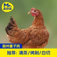 百亿补贴：蛋鲜森 童子鸡3只装新鲜现杀净膛900g±50g/只顺丰包邮