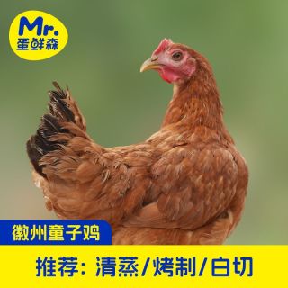百亿补贴：蛋鲜森 童子鸡3只装新鲜现杀净膛900g±50g/只顺丰包邮