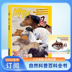博物2026年1-12月全年订阅杂志 期刊订阅