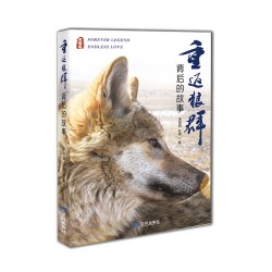 重返狼群原著一匹狼的江湖 李微漪 重返狼群背后的故事 明信片 重返狼群作者新作 一部狼的自传软精装裸脊