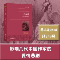 罪与罚傲慢与偏见小王子红与黑羊脂球柳林风声童年等文学作品 经典新读 经典世界名著外国文学原著畅销书籍