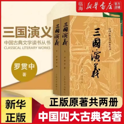 红楼梦(上下2册)/人民文学出版社  曹雪芹原著无删减四大名著初高中小学生推荐阅读必读书目小说白话文课外书