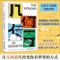 几何传奇 探寻几何发展传奇故事 三角形圆等几何定理的阐释 有趣谜题与应用