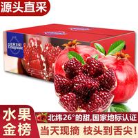 愉果 四川会理突尼斯软籽石榴 孕妇应季国产新鲜水果礼盒 3斤精选果净重2.7斤