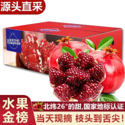愉果 四川会理突尼斯软籽石榴 孕妇应季国产新鲜水果礼盒 3斤精选果净重2.7斤