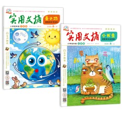 实用文摘小学低年级注音2026年/2025年1-6/7-12月打包另有2024年套1-3年级小学生作文书