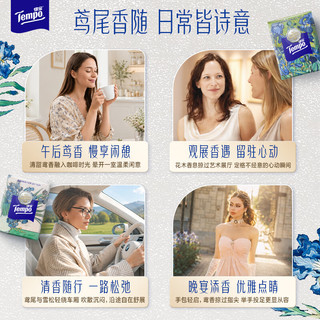 得宝 梵高鸢尾雪松香印花手帕纸 4层7张*12包