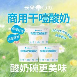 云朵叮叮 干噎酸奶500g*3桶冷萃厚酸奶低温干巴干嚼营养