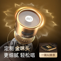 魅鸟 巨声音响麦版 无线麦克风