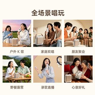 魅鸟 84W巨声麦版+伴侣音响 无线蓝牙麦克风套装