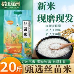 稻田绿洲 20斤丝苗香米年新米晚稻米煲仔饭蛋炒饭大米丝苗米籼米