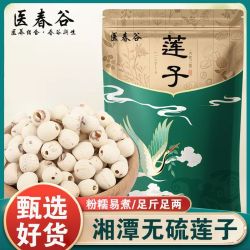 医春谷湘潭2025新鲜莲子磨皮去芯无硫干货非特级白莲子无芯食300g