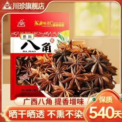川珍 广西八角100g袋装大料炖肉香辛料烧卤肉调料火锅底料