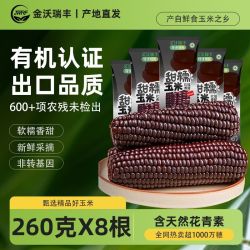 金沃瑞丰 新鲜黑糯米棒260g*8根真空包装粗粮早餐非转基因有机