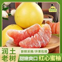 百亿补贴：胡鲜森 海南柚子红心蜜柚新鲜水果批发价当季应红肉1.5斤起
